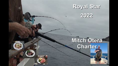 Royal Star 2022 Mitch Otera charter .